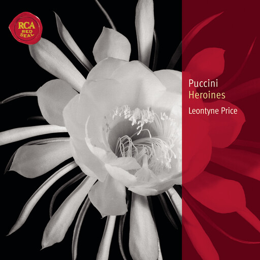 超清首页国产亚洲丝袜
